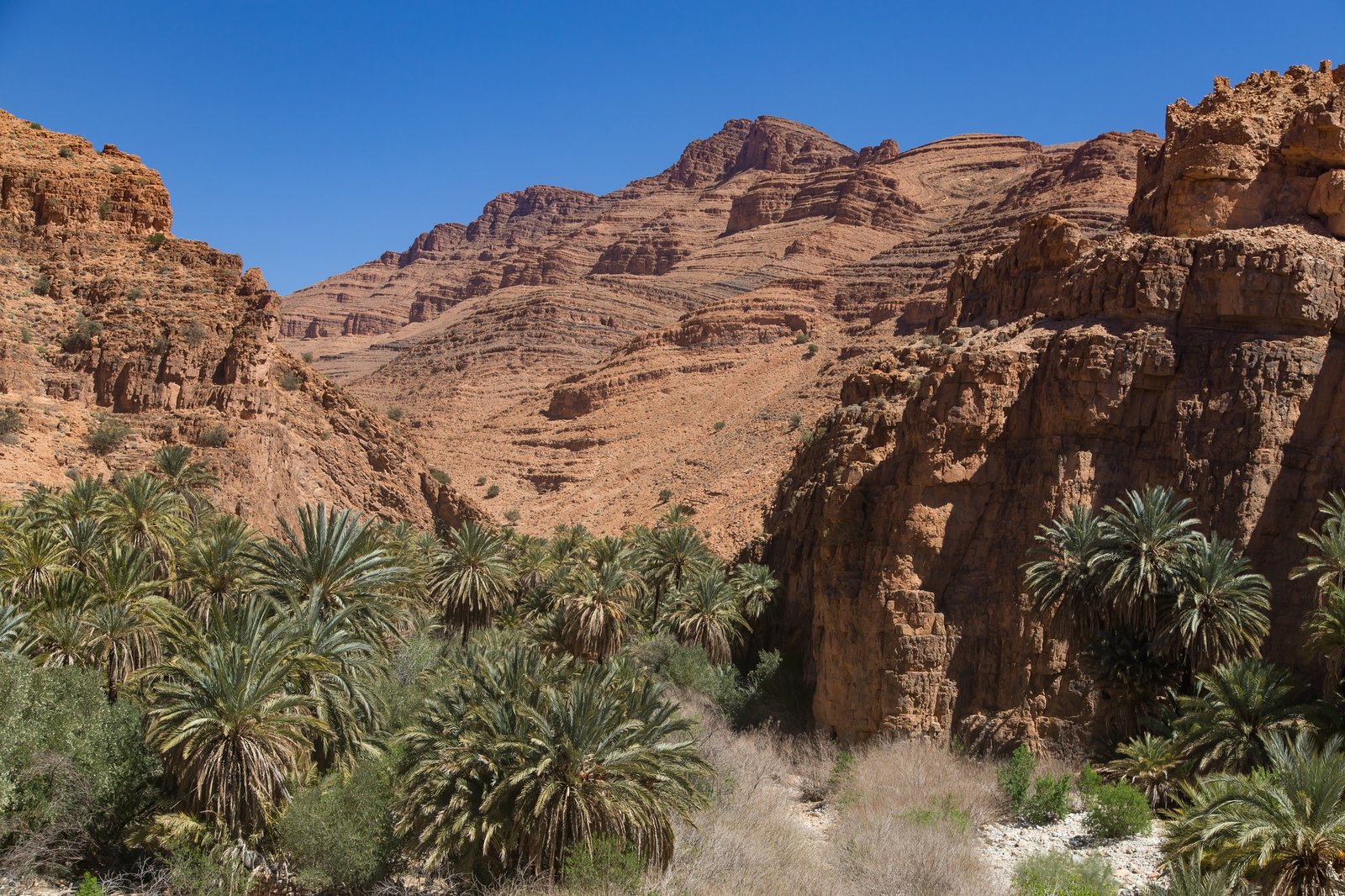 Le col du Tizi n'Test et la mosquée almohade de Tin Mal au pied du Haut Atlas