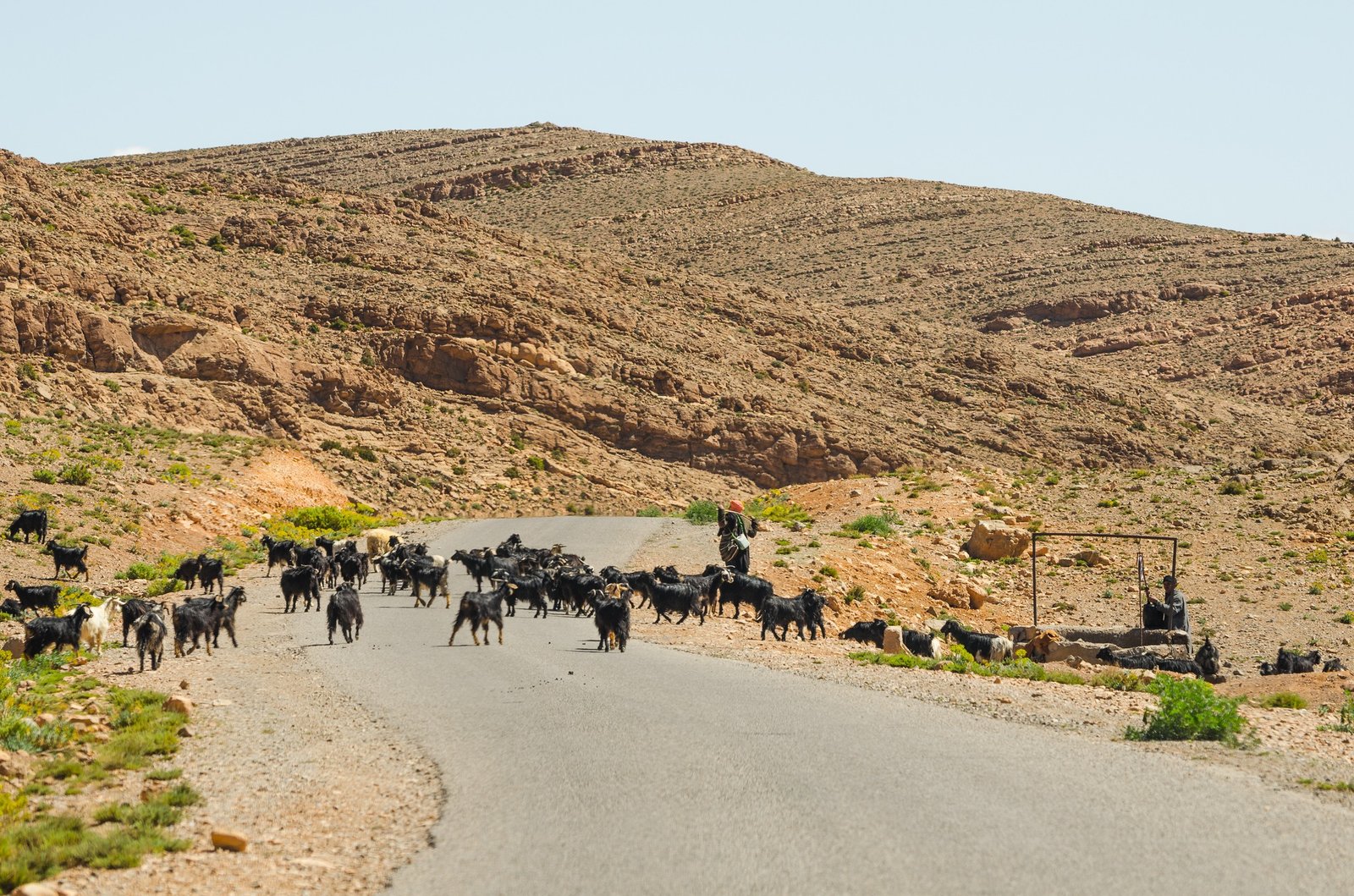 Rencontre avec des familles nomades vivant dans les grottes de la vallée de Bou Tharar