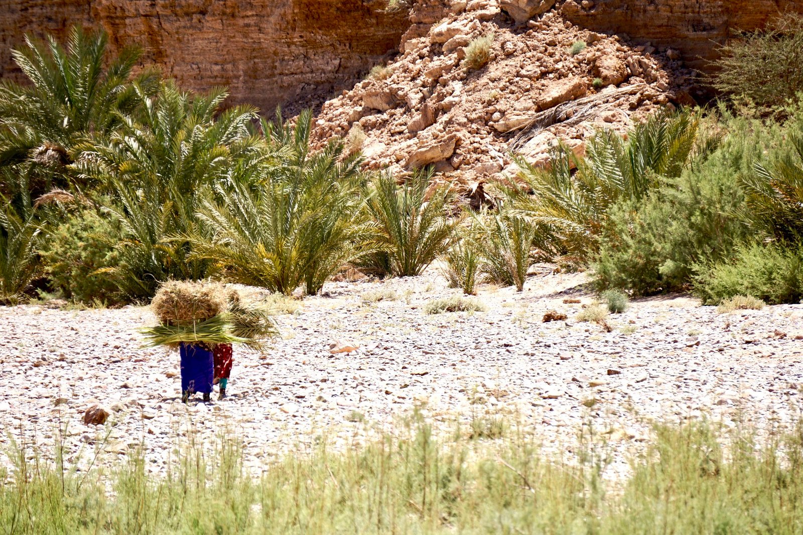 Le lac asséché d'Iriki, Foum Zguid et l'oasis de Tata dans le Sud marocain