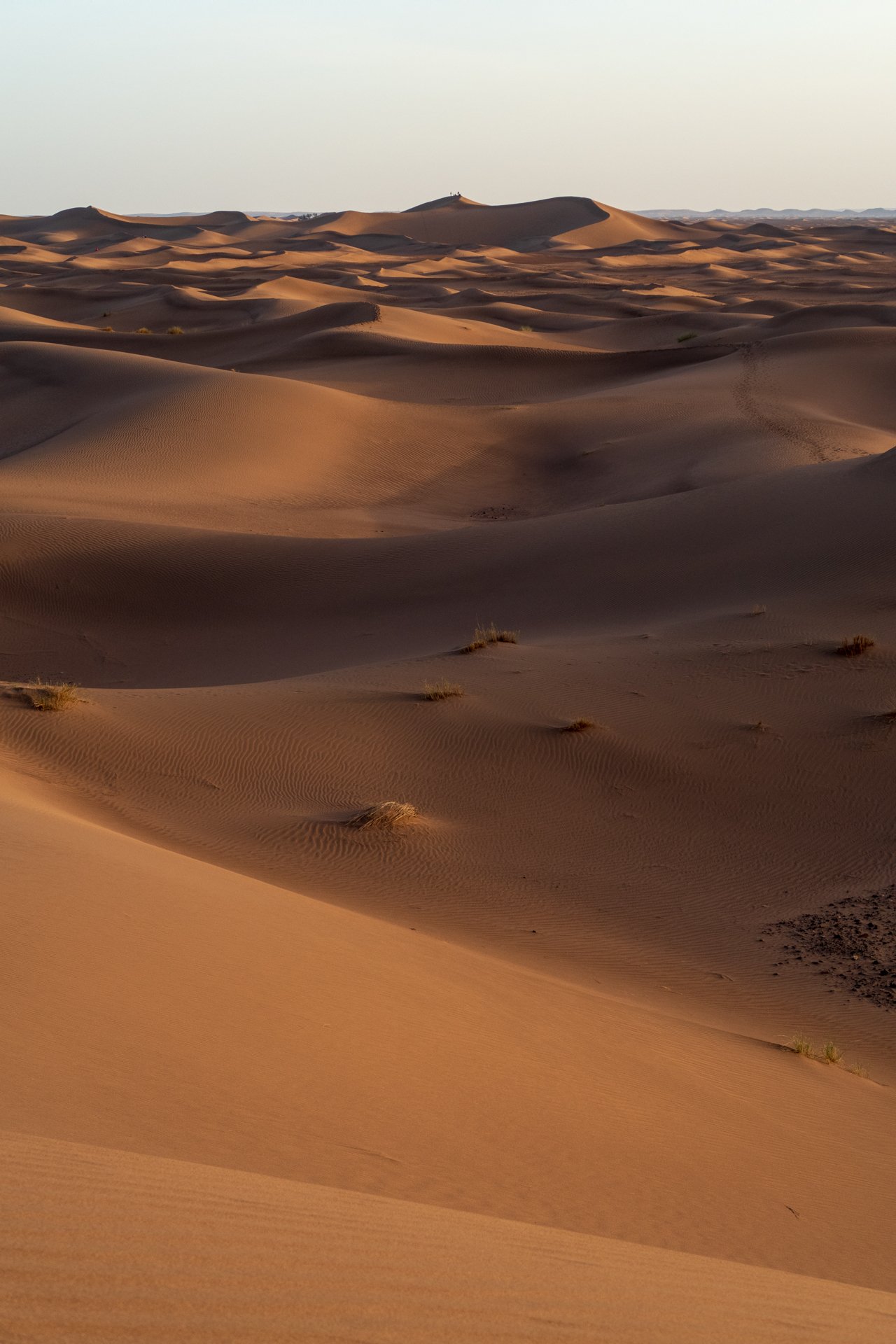 Dunes de l'Erg Chigaga et bivouac au coucher du soleil